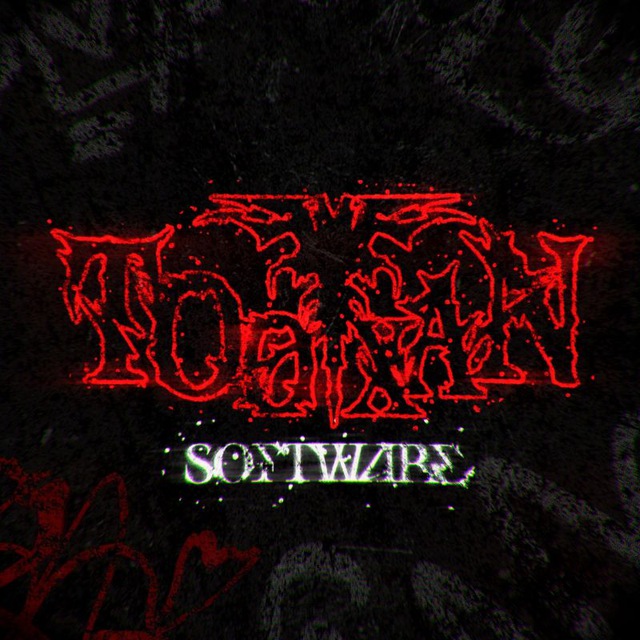Tooxan Meme